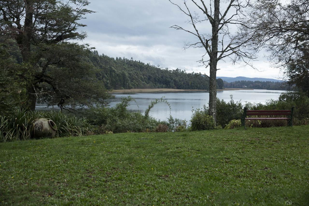 Villa Casa Rio Vivo à Valdivia Extérieur photo
